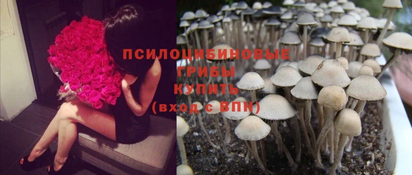 MESCALINE Алзамай